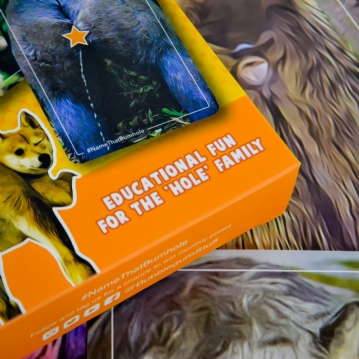 Name That Bumhole Game