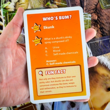 Name That Bumhole Game