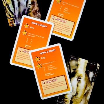 Name That Bumhole Game