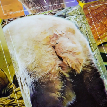 Name That Bumhole Game