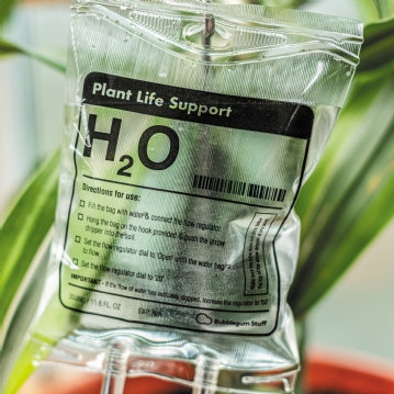 Plant Life Support