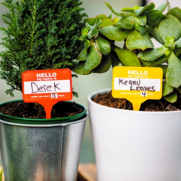 Plant Name Badges