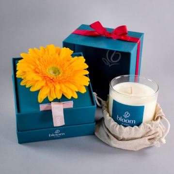 Bloom in a Box Thinking Of You Gift Set