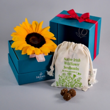 Bloom in a Box A Little Sunshine Gift Set