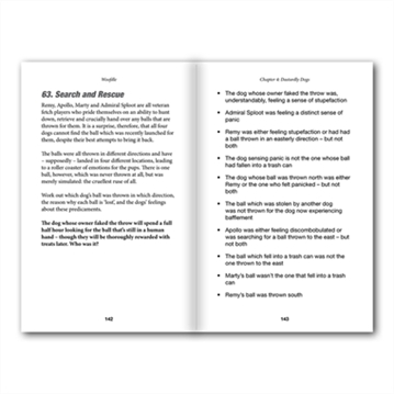 Woofdle - Canine Crime Puzzles