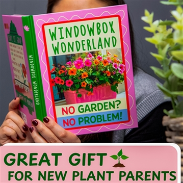 Windowbox Wonderland Book