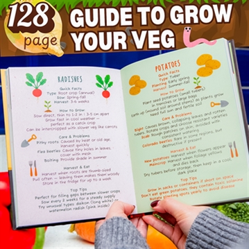 The Dirt on Veg - Gardening Book