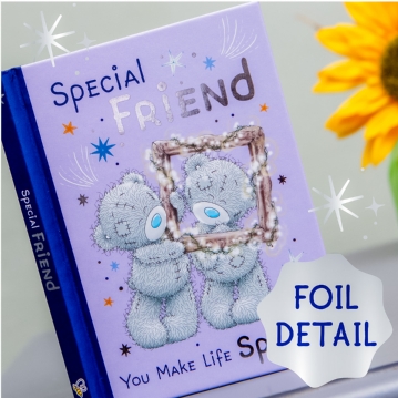 Me to You Book - Special Friend