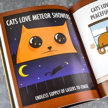 How To Tell If Your Cat Is Plotting To Kill You Book