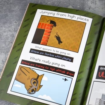 How To Tell If Your Cat Is Plotting To Kill You Book