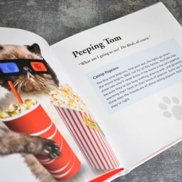 Cats Gone Bad Real Life Stories Book