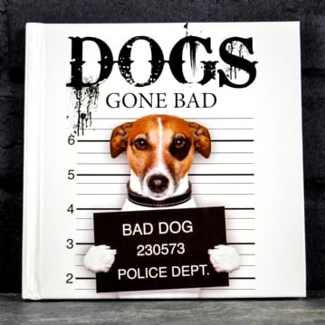 Dogs Gone Bad Real Life Stories Book