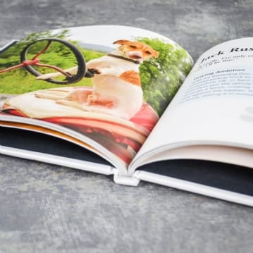 Dogs Gone Bad Real Life Stories Book