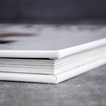 Dogs Gone Bad Real Life Stories Book