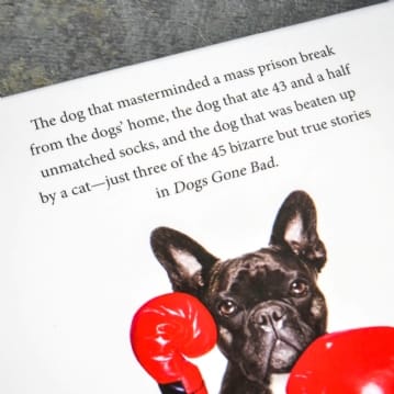 Dogs Gone Bad Real Life Stories Book