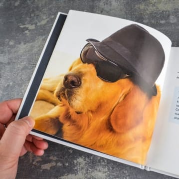 Dogs Gone Bad Real Life Stories Book