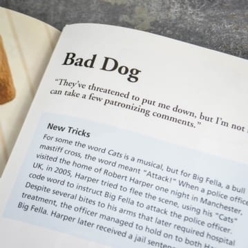Bad top dog stories