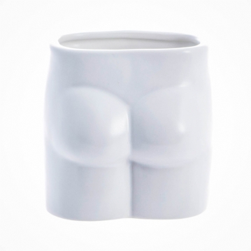 Look At My Prick Male Anatomy Plant Pot