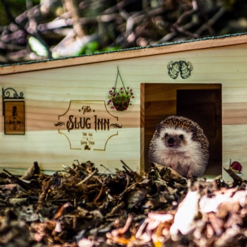 The Slug Inn Hedgehog House