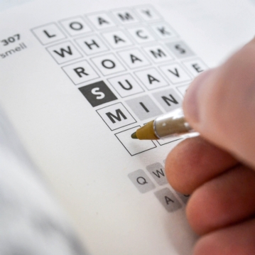 Wordle Challenge - Book of 500 Word Puzzles