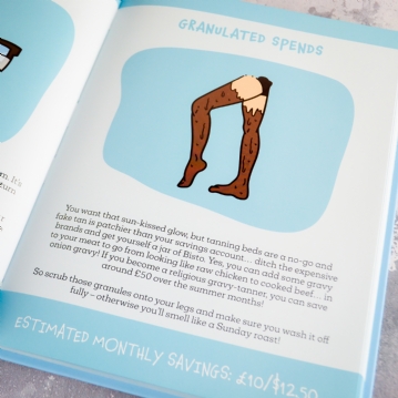 Cheapskates Guide to Life Book