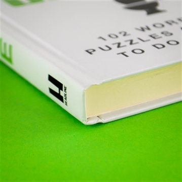 Turdle! Wordle Book for Poo Time