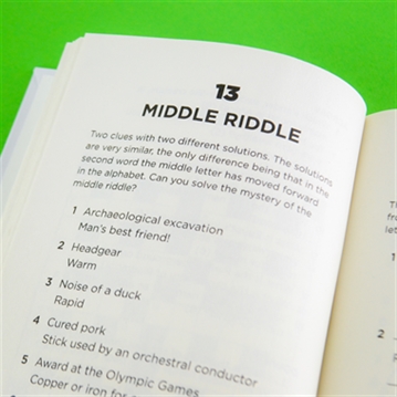 Turdle! Wordle Book for Poo Time