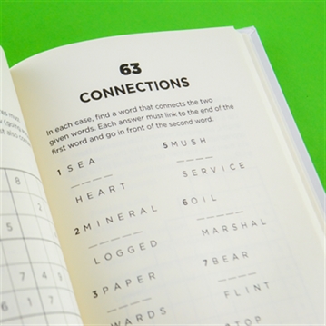 Turdle! Wordle Book for Poo Time