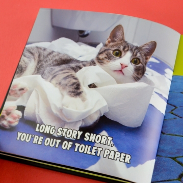 Funny Cats Novelty Book