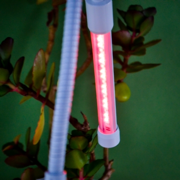 Plant Booster Grow Light