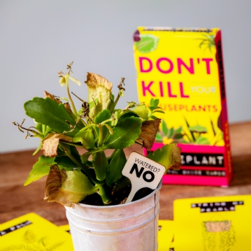 Don't Kill Your Houseplants Survival Guide 