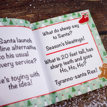 Christmas Cracker Joke Book