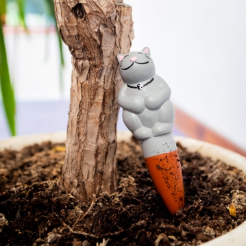 Grow with the Flow Kitty Gardening Watering Spikes