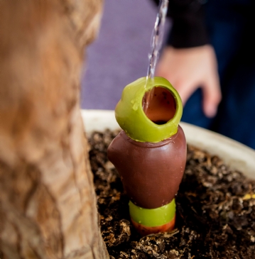 Grow with the Flow Toad Gardening Watering Spike