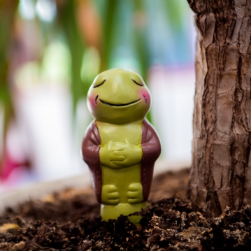 Grow with the Flow Toad Gardening Watering Spike