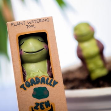 Grow with the Flow Toad Gardening Watering Spike