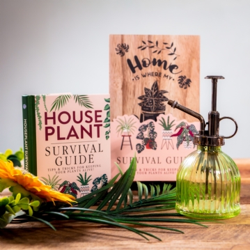 Houseplant Survival Set 