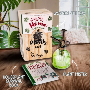 Houseplant Survival Set 