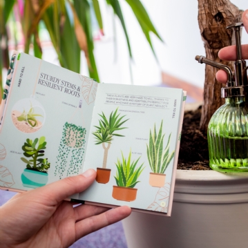 Houseplant Survival Set 
