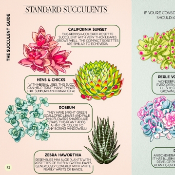 Houseplant Survival Set 