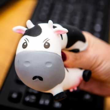 Moody Cow Stress Toy