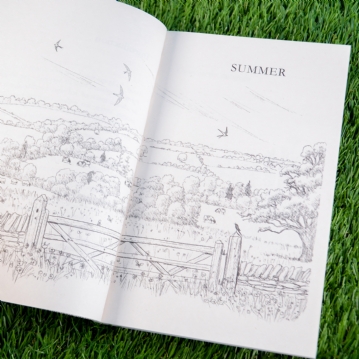 Jeremy Clarkson Book - Til The Cows Come Home