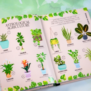 Houseplant Survival Guide Book