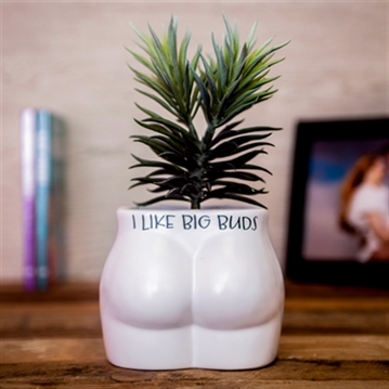 "I Like Big Buds" Cheeky Plant Pot