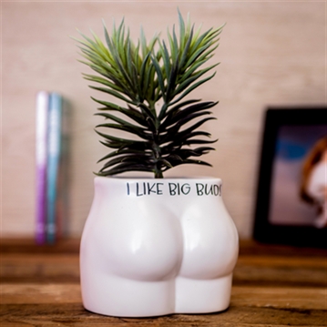 "I Like Big Buds" Cheeky Plant Pot