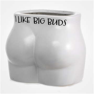 "I Like Big Buds" Cheeky Plant Pot