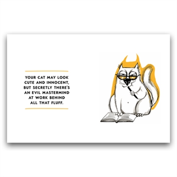 The Cat Owner's Survival Guide Book