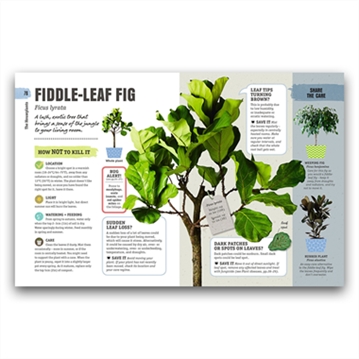 How Not to Kill Your Houseplant Book