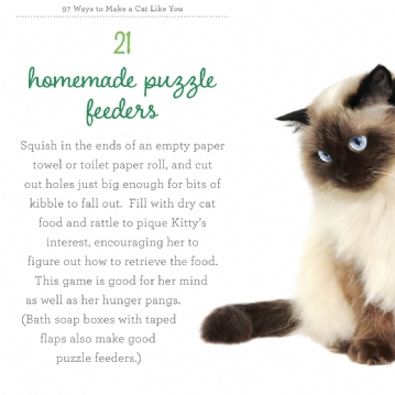 97 Ways to Make a Cat Like You Book