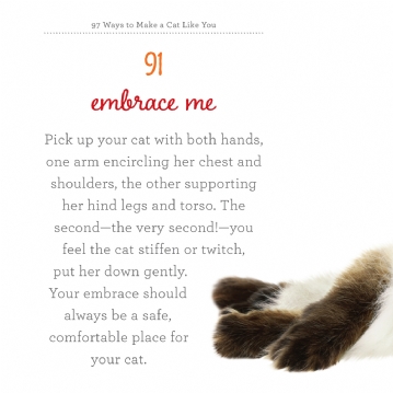 97 Ways to Make a Cat Like You Book